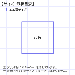 ӡ : ƥΥåǡ 30.0 x 30.0